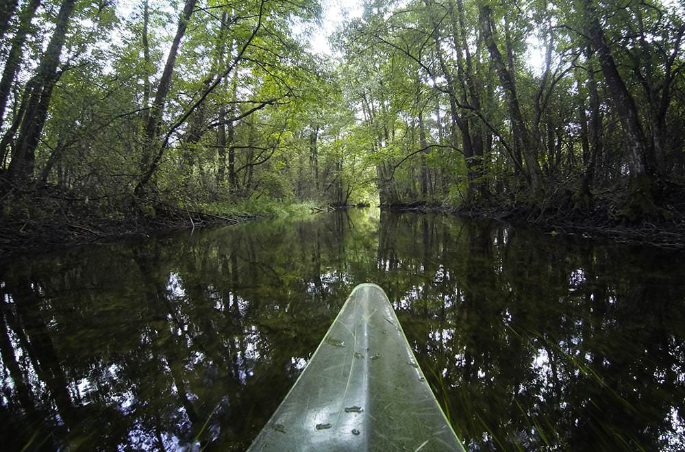 Image of river in Paluse